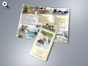 Atlanta brochure design animal boarding