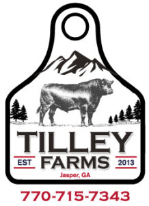 Logo design in Jasper GA